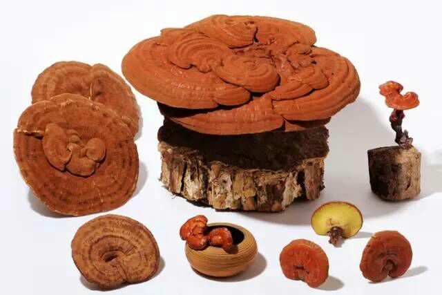 中科院补硒骗局(中科院的硒怎样)-硒宝网