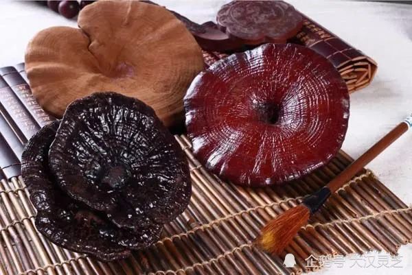 中科院补硒骗局(中科院的硒怎样)-硒宝网