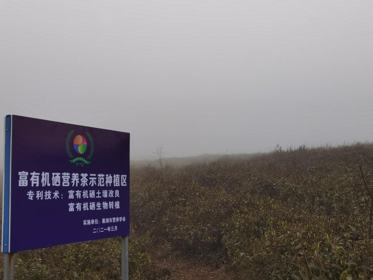 巢湖市科学补硒（科学补硒）-硒宝网