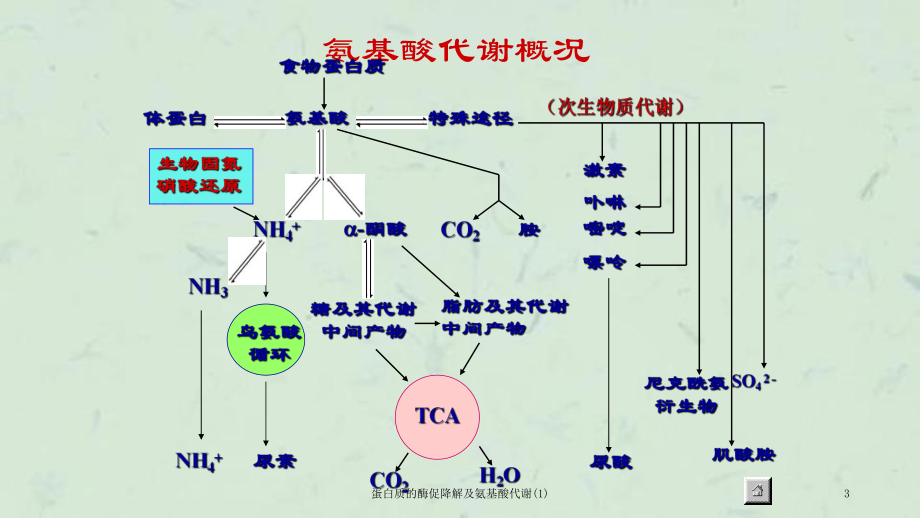 补硒对身体改善（身体补硒有什么好处）-硒宝网