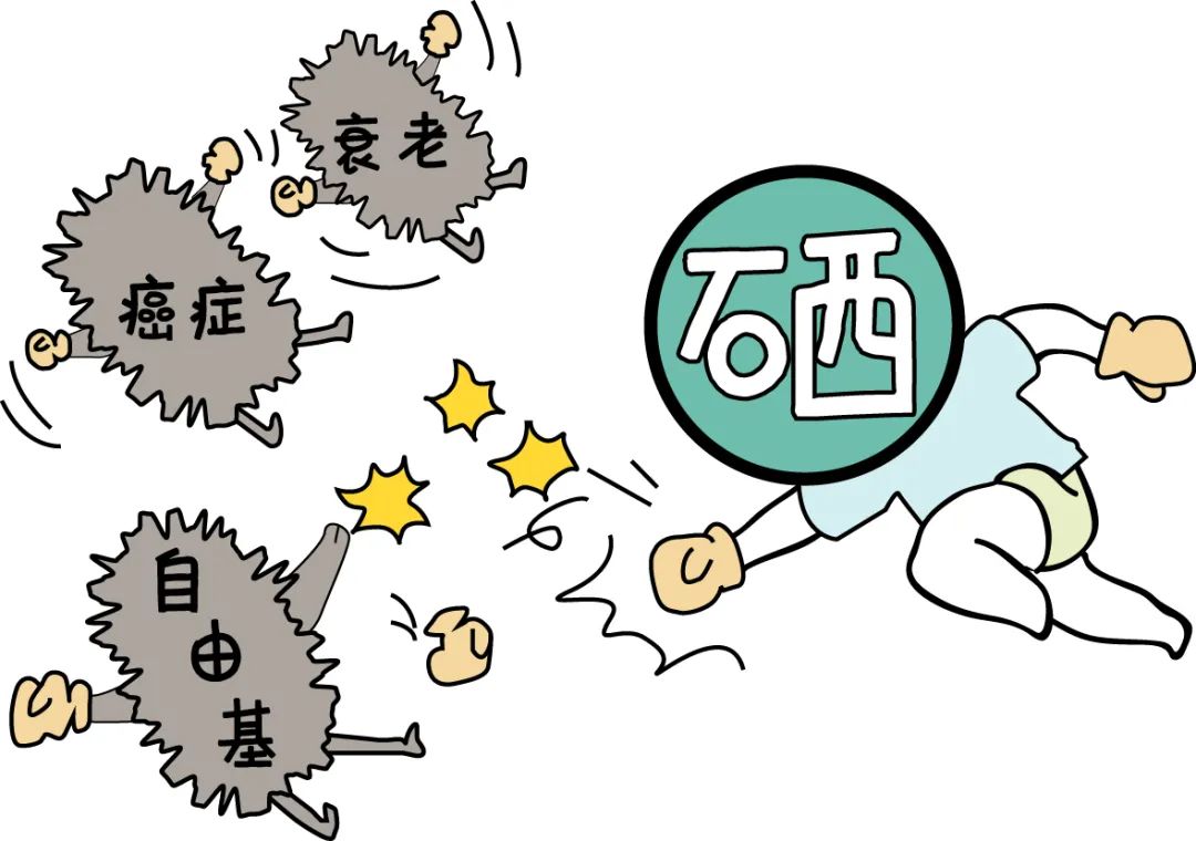 结肠癌患者补硒(补患者结肠癌硒片有用吗)-硒宝网