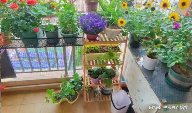 怎么样补硒最好（补硒效果分享）-硒宝网