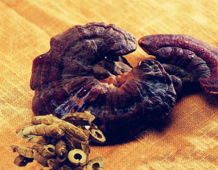 乳腺癌补硒好吗（乳腺癌补硒一天用量是多少）-硒宝网