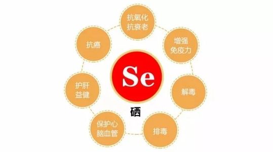 钙铁锌硒要补吗(钙锌补铁硒要补多久)-硒宝网