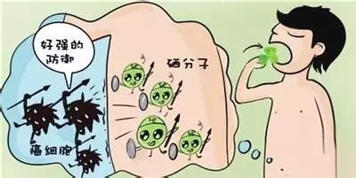 老年人补硒食补（老年人补硒）-硒宝网