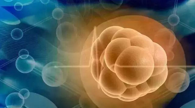 老年人补硒食补（老年人补硒）-硒宝网