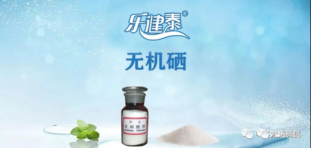 人体补硒多少钱（人体补硒好吗）-硒宝网