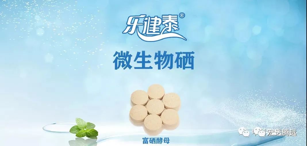 人体补硒多少钱（人体补硒好吗）-硒宝网