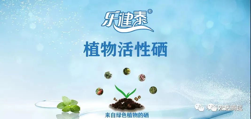 人体补硒多少钱（人体补硒好吗）-硒宝网