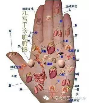 肝掌需要补硒吗(补硒肝脏)-硒宝网