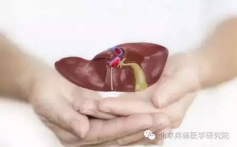 肝掌需要补硒吗(补硒肝脏)-硒宝网