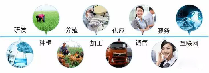 农作物人工补硒(作物农人工补硒方法)-硒宝网