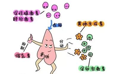 甲减补硒的剂量(补硒甲减)-硒宝网