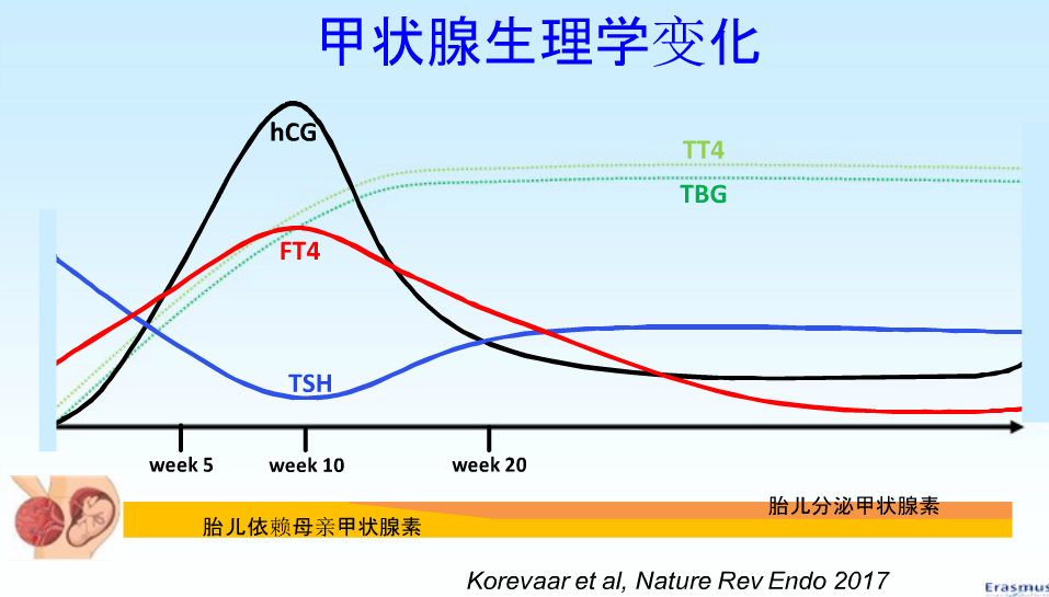 甲减补硒的剂量(补硒甲减)-硒宝网