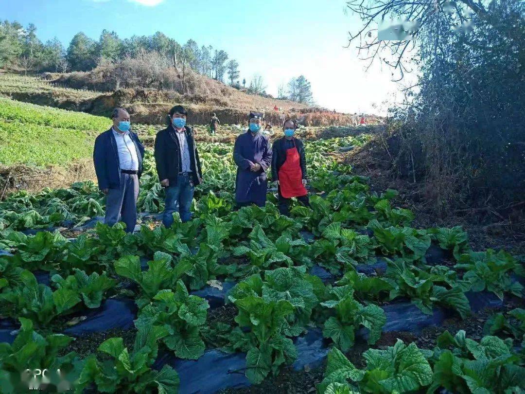 重脑力劳动补硒(脑力劳动的人用什么补脑最好)-硒宝网