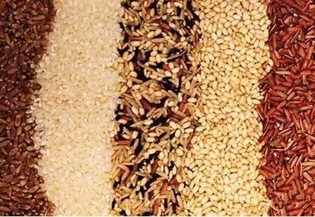 月子里能补硒吗(月子能补吗)-硒宝网