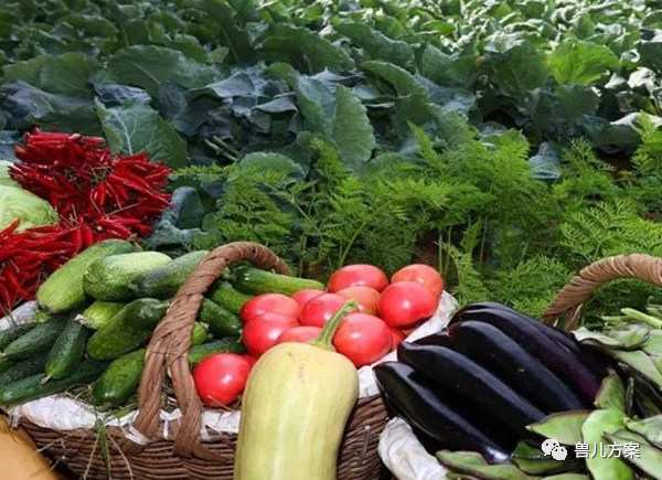 农作物人工补硒(农作物怎样补硒)-硒宝网