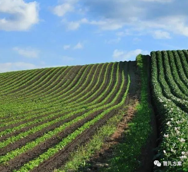 农作物人工补硒(农作物怎样补硒)-硒宝网