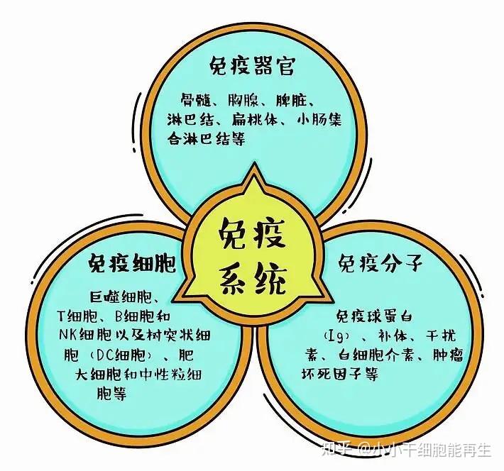 佳莱福补硒产品（佳莱福锌硒片怎么样）-硒宝网