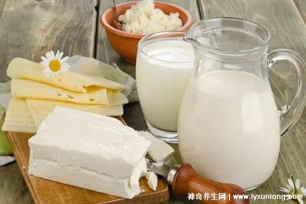 钙尔奇和汤臣倍健哪个补钙好（补钙汤臣倍健好还是钙尔奇好）-硒宝网