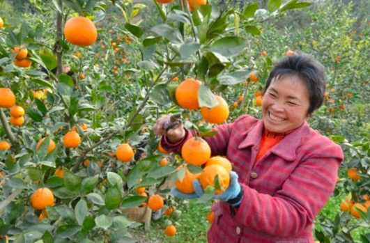 补硒会长痘痘吗(痘痘会长补硒的东西吗)-硒宝网