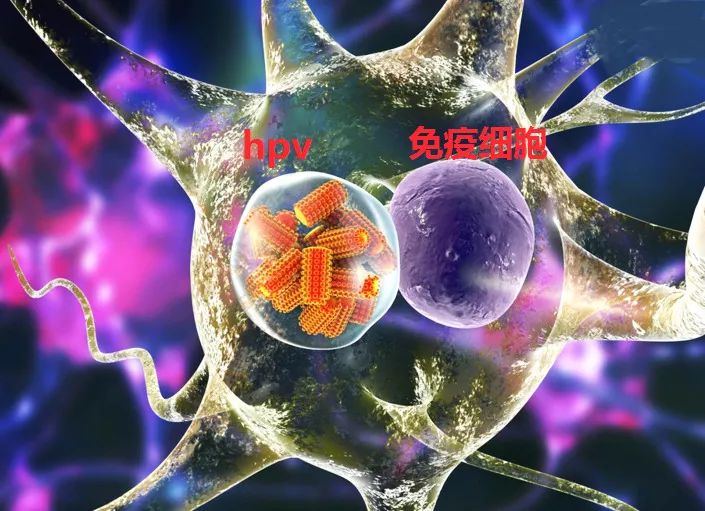 补硒的三道防线(补硒的三道防线)-硒宝网