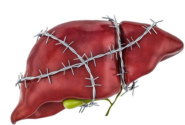 补硒养肝的方法(补硒对肝的作用)-硒宝网