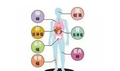 脑?；颊哂氩刮ú刮阅怨Ｓ心男┳饔茫?硒宝网