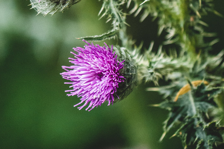吃什么补硒护肝（补硒可以护肝吗）-硒宝网