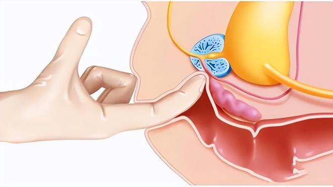 锌硒同补是关键（补充锌硒元素）-硒宝网