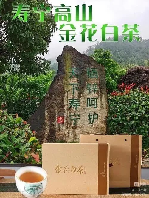 吃什么能补硒锌（锌硒能随便补吗）-硒宝网