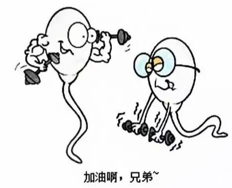 怀孕了能补硒吗（怀孕补硒的作用）-硒宝网