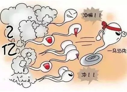 怀孕了能补硒吗（怀孕补硒的作用）-硒宝网