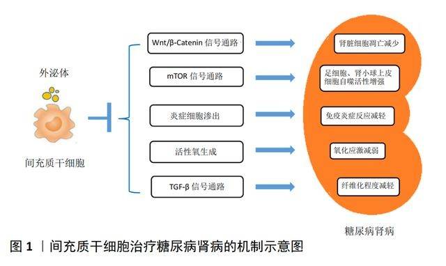 补硒治好糖尿病（病治补糖尿好硒片有用吗）-硒宝网