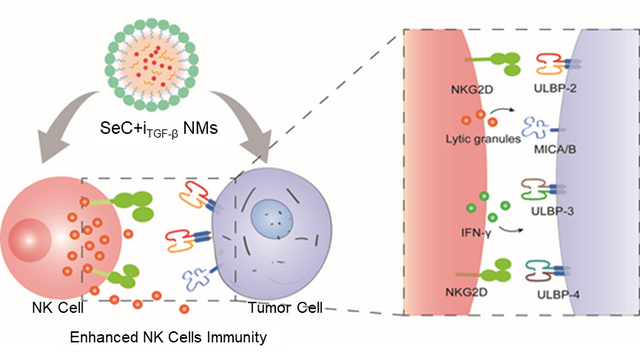补硒治好糖尿?。ú≈尾固悄蚝梦杏寐穑?硒宝网