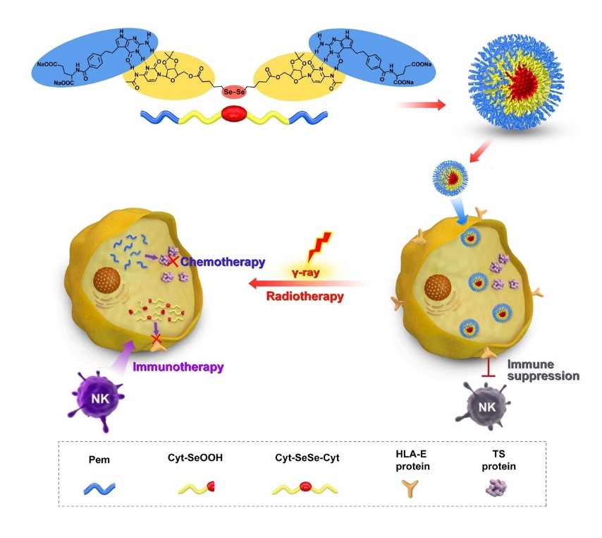 硒是如何补肝的(补硒对肝病患者有好处吗)-硒宝网