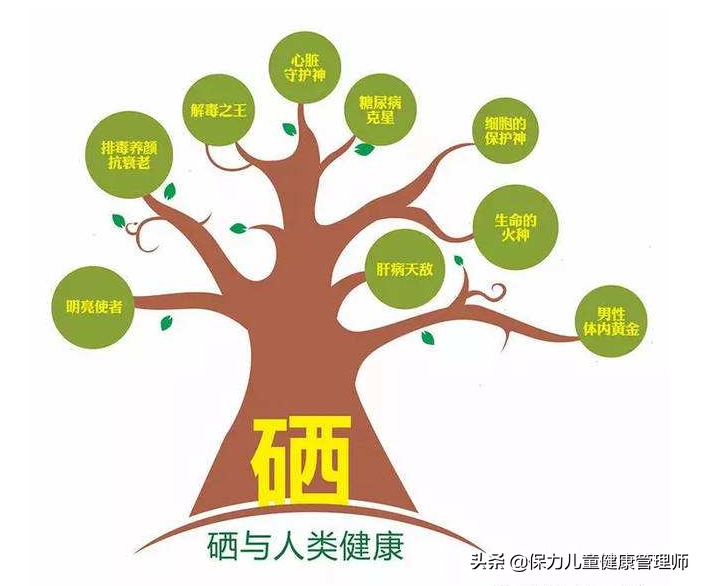 小孩补硒怎么办（补办小孩的社?？ㄐ枰裁醋柿希?硒宝网