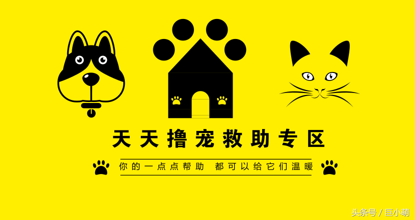 补硒有喝什么好(补硒会不会过量)-硒宝网