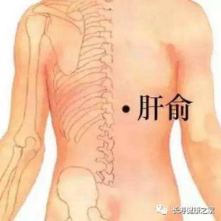 补硒养肝的方法(补硒肝脏)-硒宝网