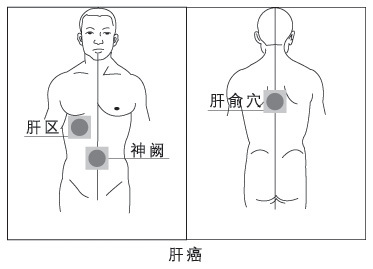 补硒养肝的方法(补硒肝脏)-硒宝网