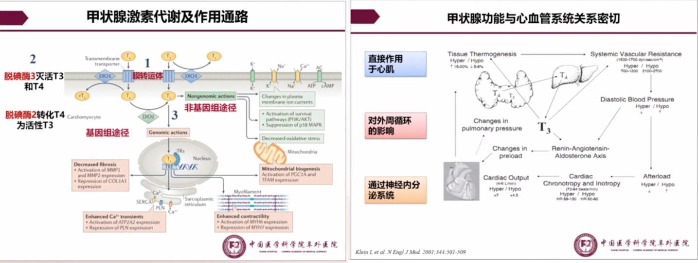 甲减补多少锌硒(补充锌硒)-硒宝网