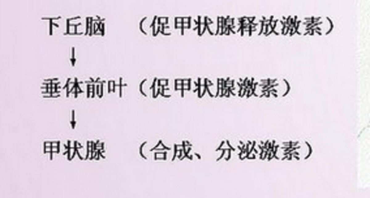 甲减补多少锌硒(补充锌硒)-硒宝网