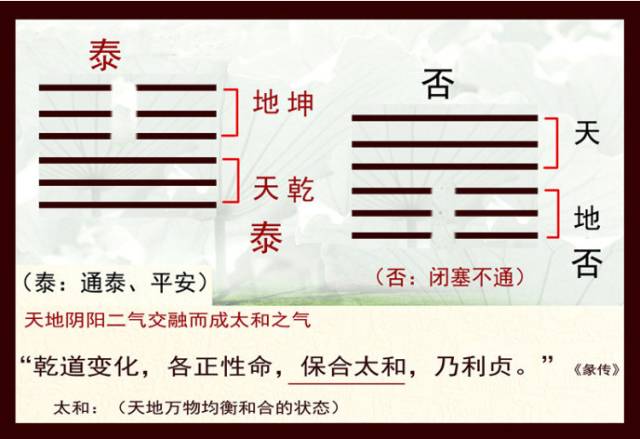 硒是补心脏的吗(硒补足了对心脏的好处)-硒宝网