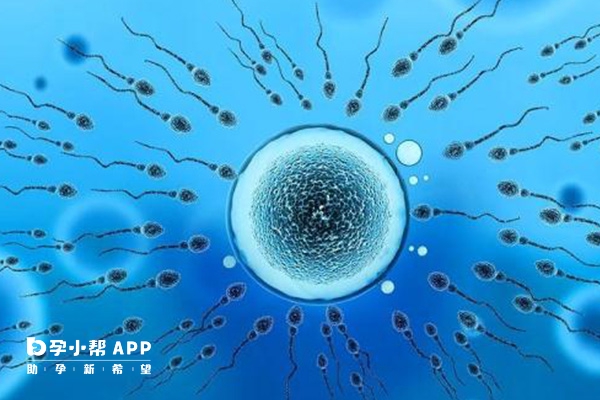 铜和硒吃什么补(补充硒吃什么药)-硒宝网