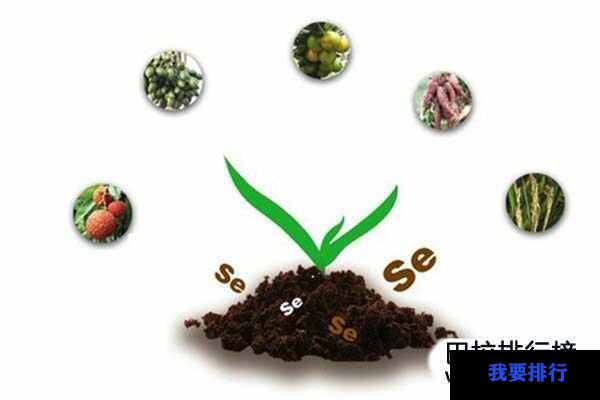 补硒保健品排行(排行保健补品硒含量高吗)-硒宝网