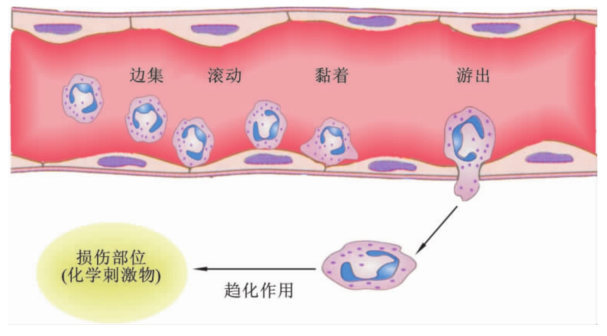 补硒后脸干口干（补硒后便秘是什么原因）-硒宝网