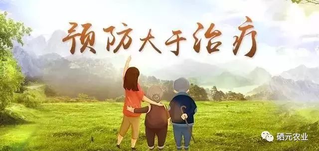 补硒重要性讲稿(补硒的重要性和必要性)-硒宝网