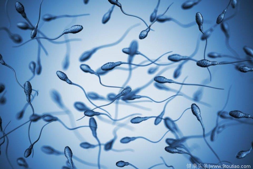 吃桑葚干补硒吗(桑葚能补)-硒宝网