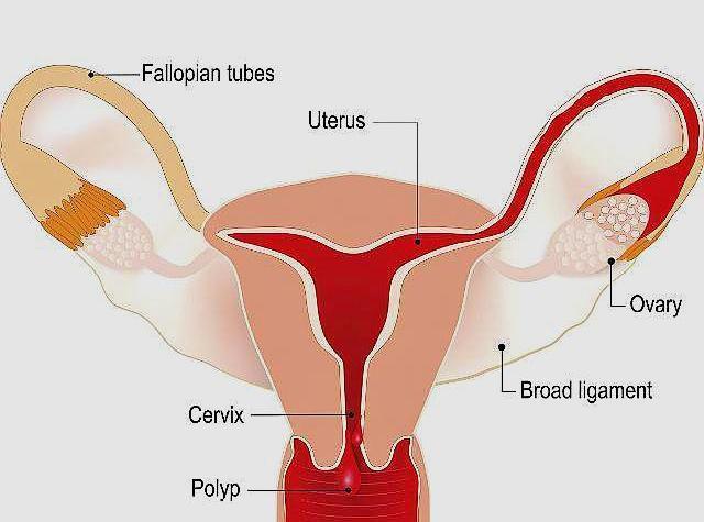 尖锐湿疣补硒吗（硒片对尖锐）-硒宝网
