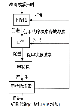 乳腺癌需要补硒(乳腺癌吃硒)-硒宝网